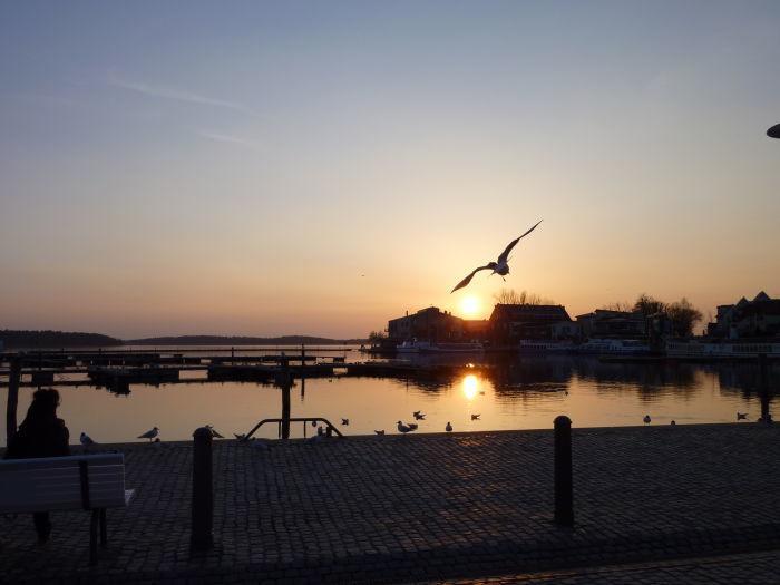 Yachthafen Waren Apartment *